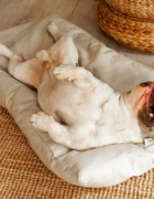 Qué tener en cuenta si vas a comprar una funda para el asiento de la moto 🛒