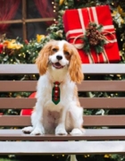 ¿Cuándo debo pasar al bebé del capazo a la silla de paseo?