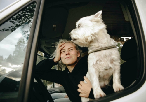 Semana Santa con tu amigo peludo: 5 planes ideales