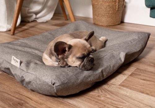 Las últimas tendencias en diseños para la cama de tu perro