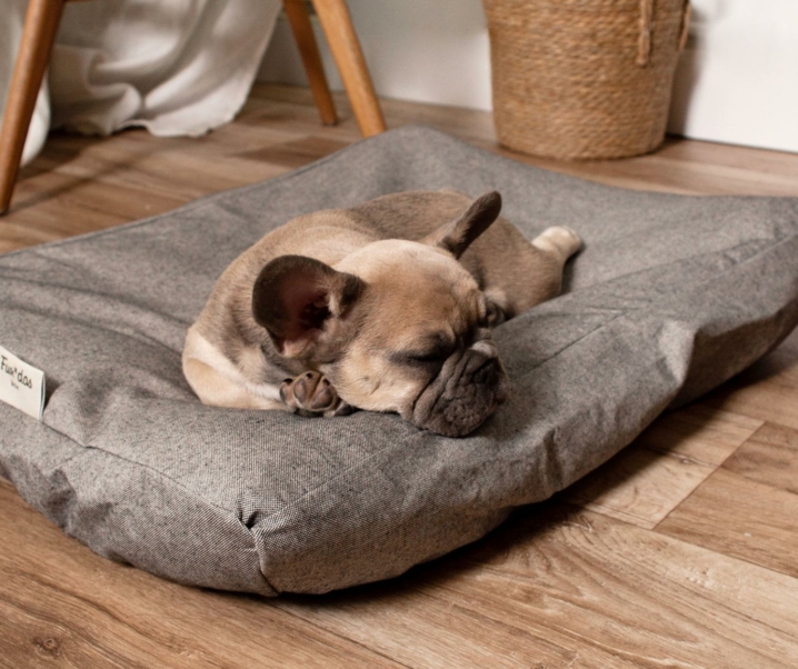 Las últimas tendencias en diseños para la cama de tu perro