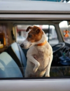 La importancia de la figura de los abuelos en los bebés