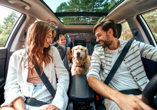 Viajar con un bebé y un perro en coche: cómo hacerlo de forma segura