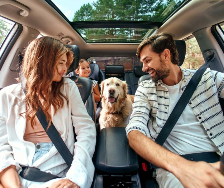 Viajar con un bebé y un perro en coche: cómo hacerlo de forma segura