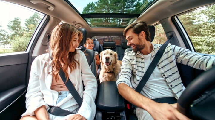 Viajar con un bebé y un perro en coche: cómo hacerlo de forma segura